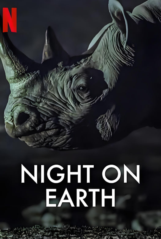 地球的夜晚(全集)