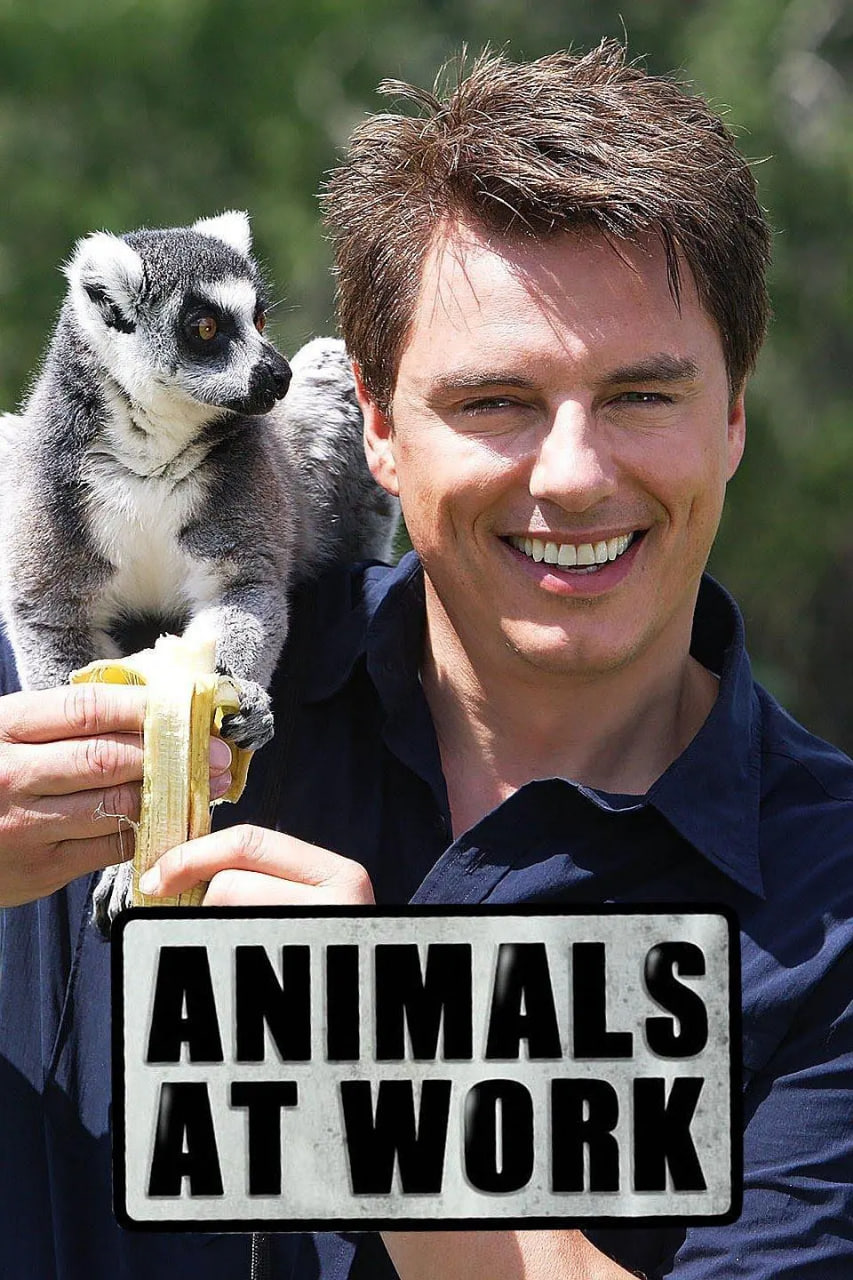 动物打工记(全集)