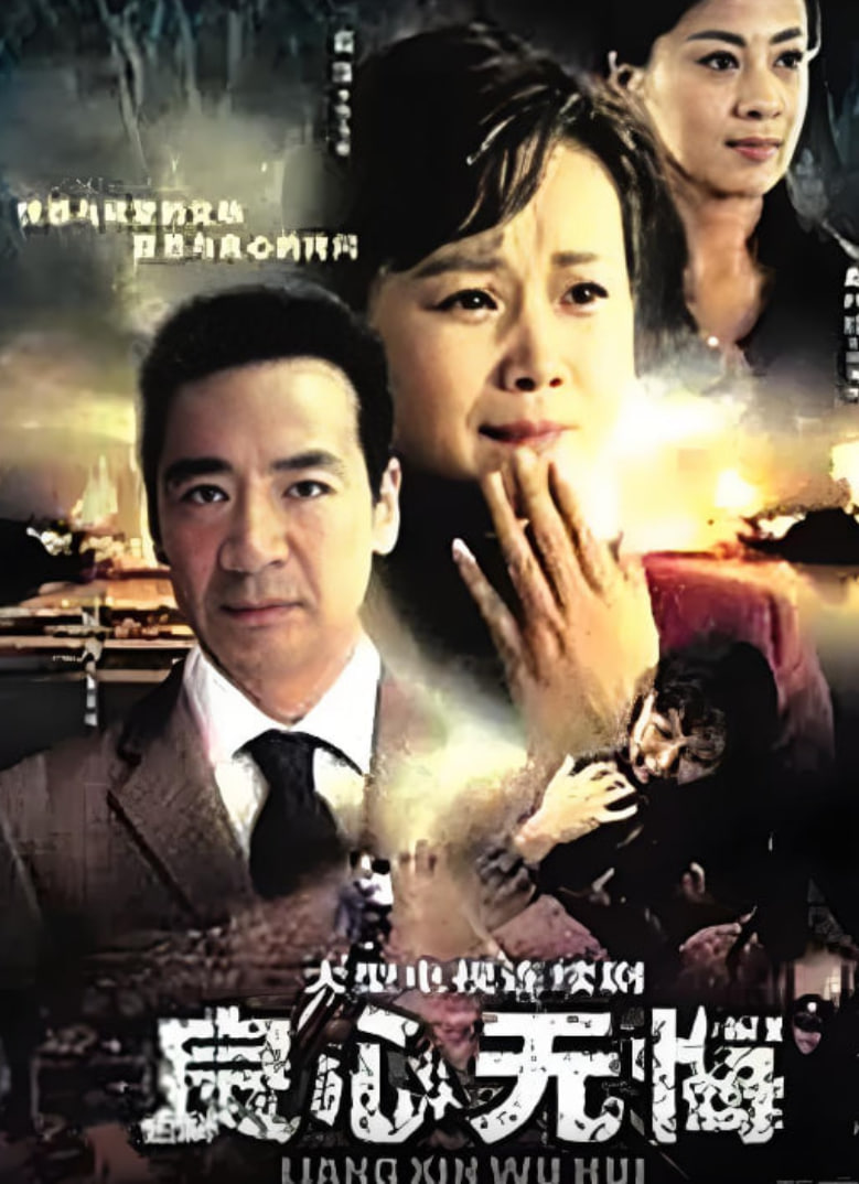 良心无悔(全集)