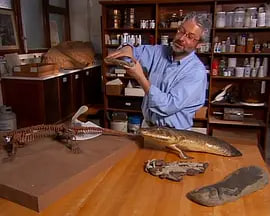 审判日 Judgement 2007(全集)