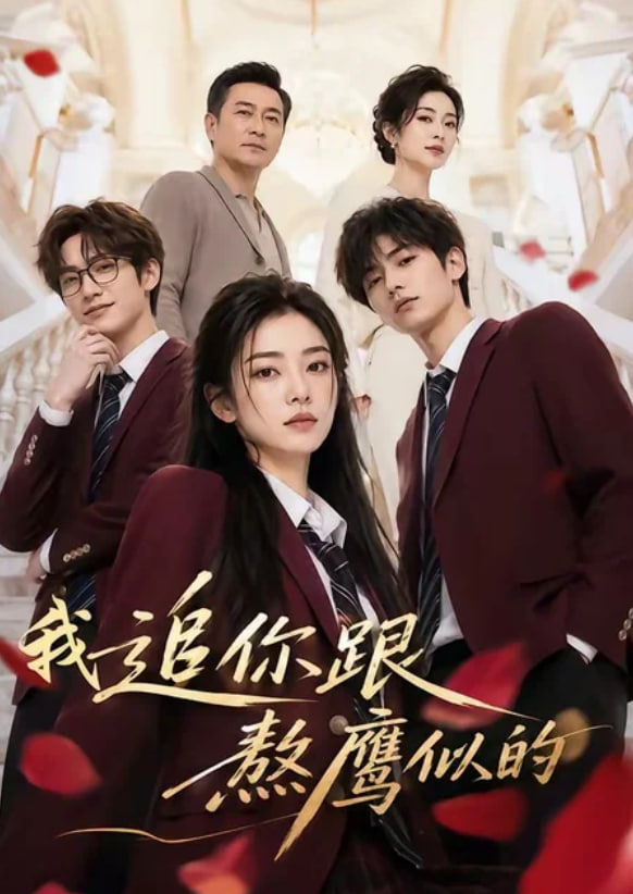 我追你跟熬鹰似的(全集)