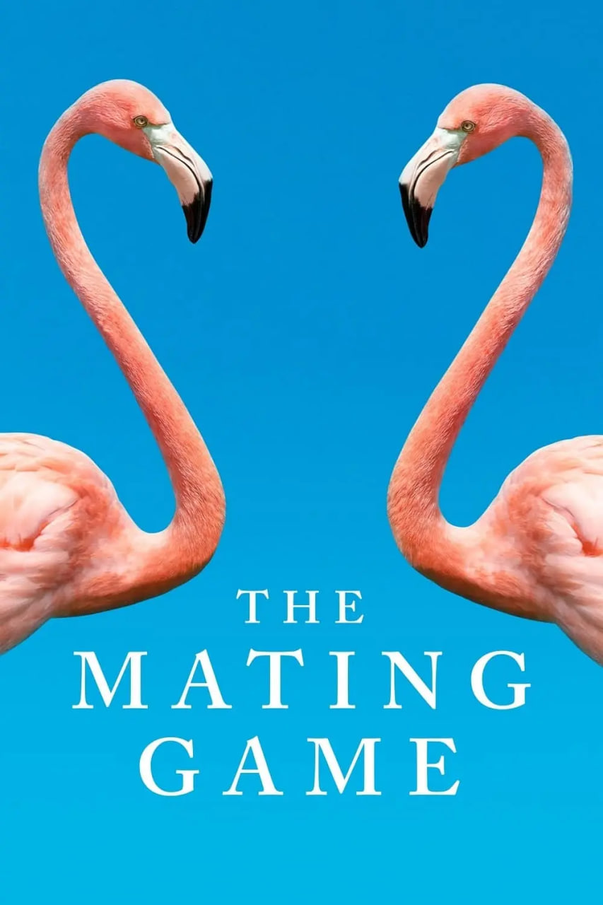 求偶游戏(全集)