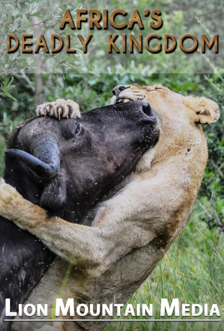 非洲致命国度(全集)